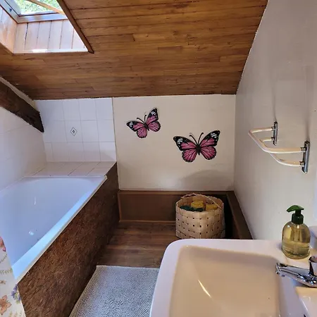 Authentic With Terrace And Shared Pool Saint-Saud-Lacoussière