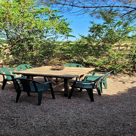 Authentic With Terrace And Shared Pool